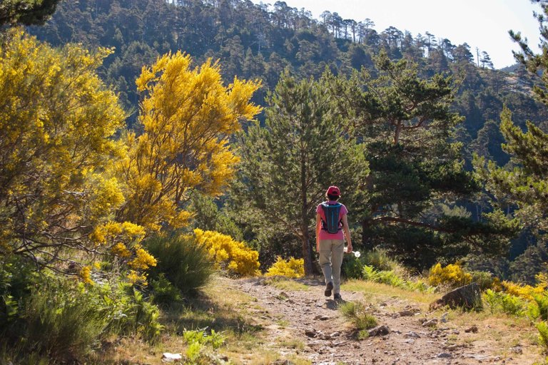 La sierra de Guadarrama atrae a miles de senderistas cada fin de semana